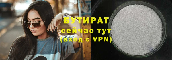 шишки Инта