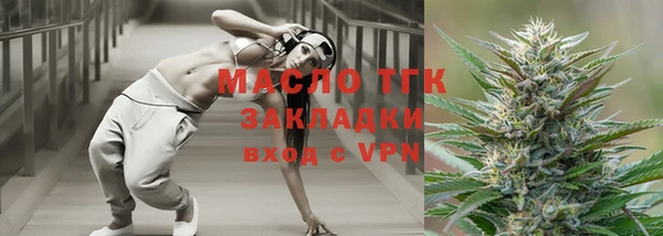 шишки Инта