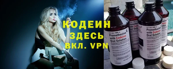 шишки Инта