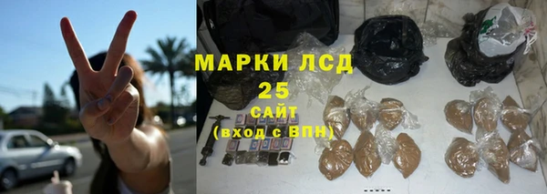 шишки Инта