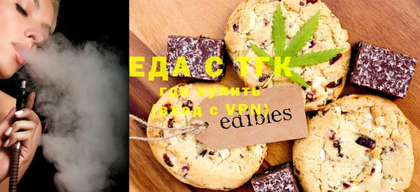 шишки Инта