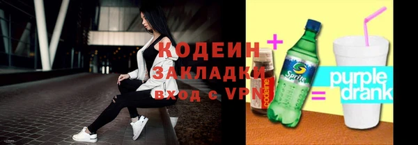 шишки Инта