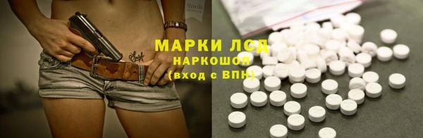 шишки Инта
