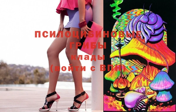 шишки Инта
