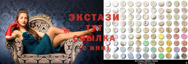 шишки Инта