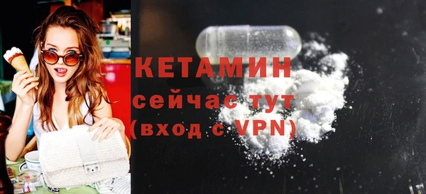 шишки Инта