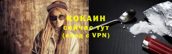 шишки Инта